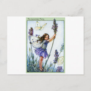 Lavender Fairy Postcard