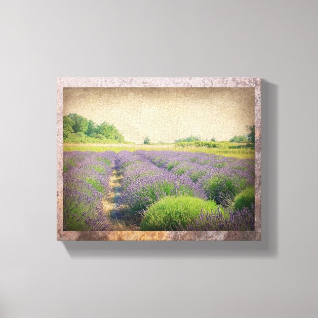 Lavender Farm - Distressed  Wrapped Canvas (Front)