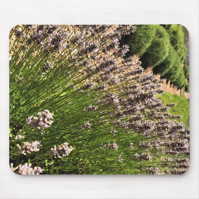 Lavender Farm Mouse Mat (Front)