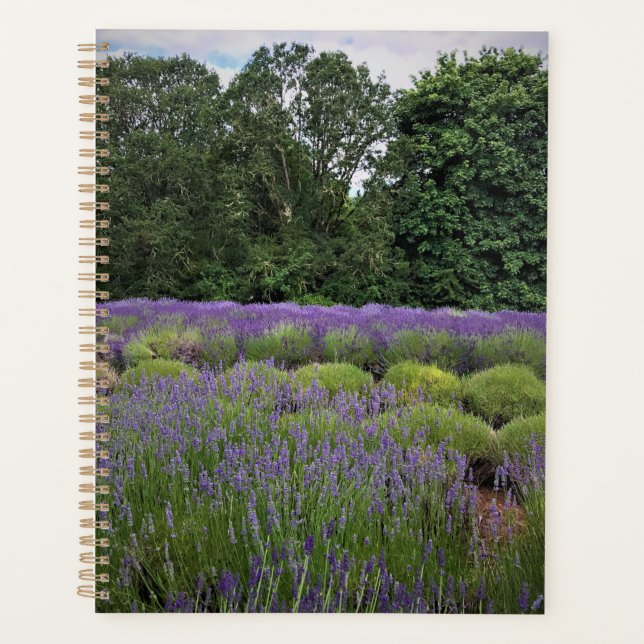 Lavender Farm Planner (Front)