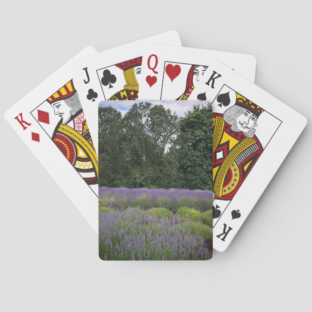 Lavender Farm Playing Cards (Back)