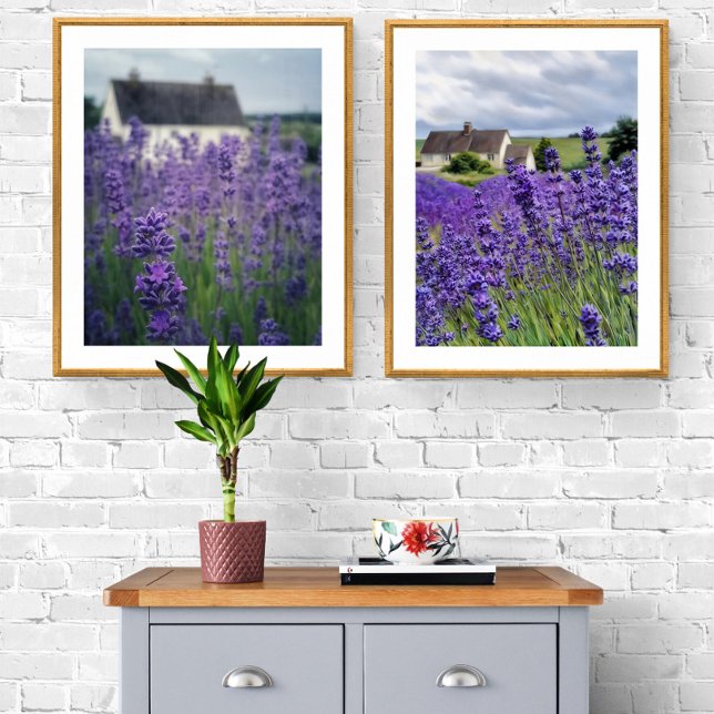 Lavender field (Creator Uploaded)