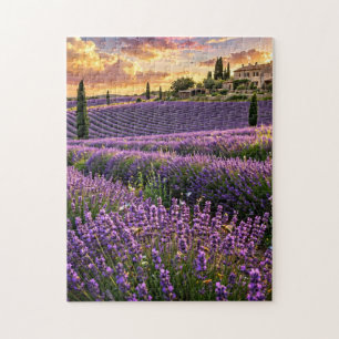Lavender Field at Sunset Jigsaw Puzzle