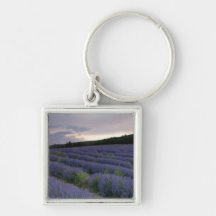 Lavender field at sunset key ring