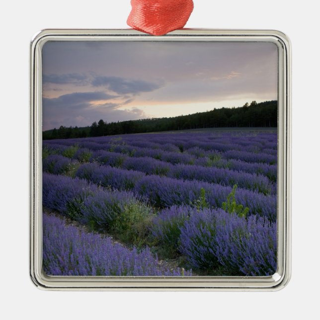 Lavender field at sunset metal tree decoration (Front)