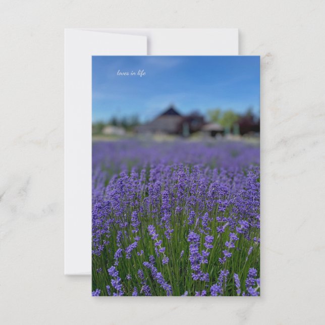 Lavender Field & Barn Card (Front)