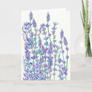 Lavender Field Card
