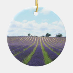 Lavender field Christmas Ornament