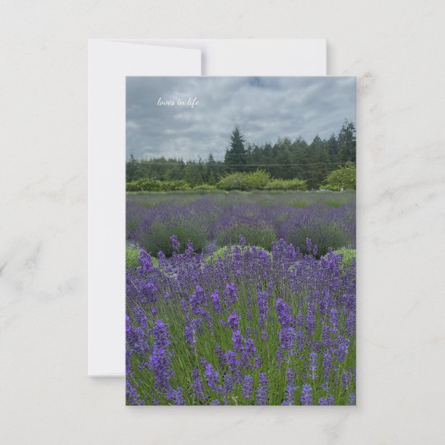 Lavender Field, Cloudy Day Card (Front)