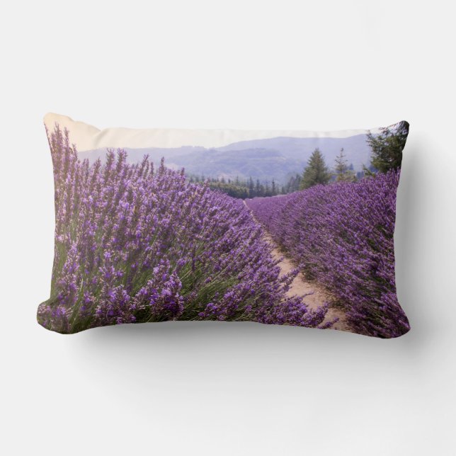 Lavender Field cushion (Front)