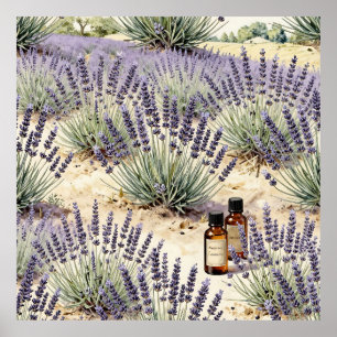Lavender Field Essential Oil Watercolor Pattern Poster