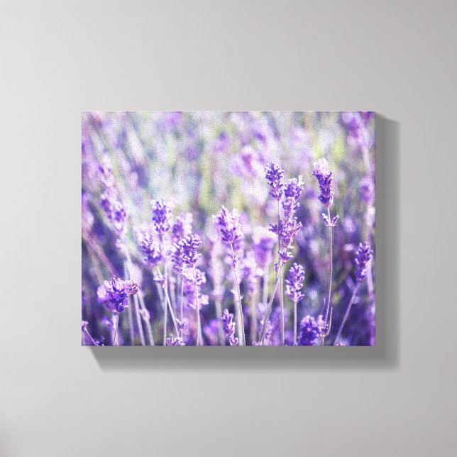 Lavender Field Floral Canvas Print (Front)