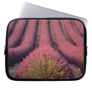 Lavender field in High Provence, France 2 Laptop Sleeve