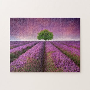 Lavender Field Landscape Summer Sunset Jigsaw Puzzle