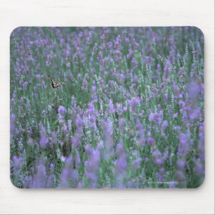 Lavender Field Mouse Mat