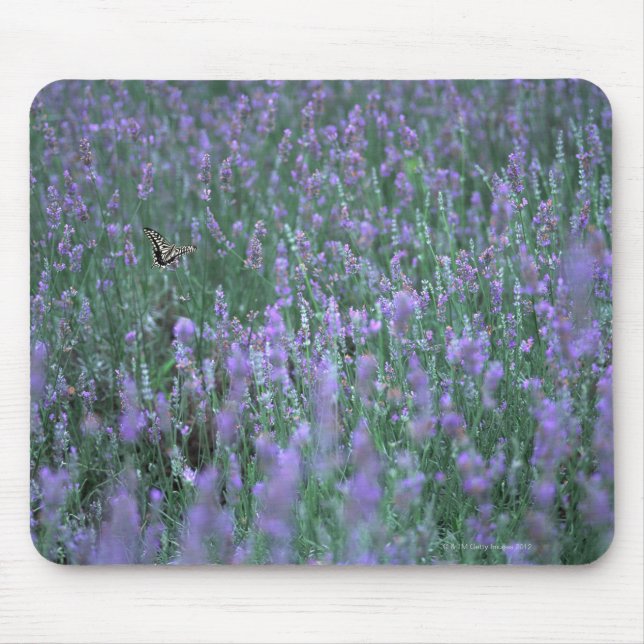 Lavender Field Mouse Mat (Front)