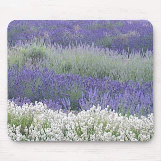 Lavender Field Mousepad (Front)