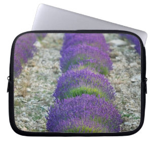 Lavender field, Provence, France Laptop Sleeve