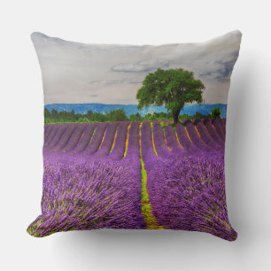 Lavender Field scenic, France Cushion
