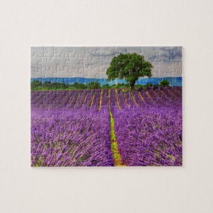 Lavender Field scenic, France Jigsaw Puzzle