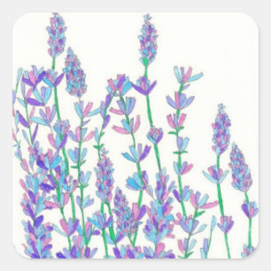 Lavender Field Stickers