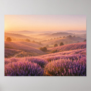 Lavender Field Sunrise Rolling Hills Landscape Poster