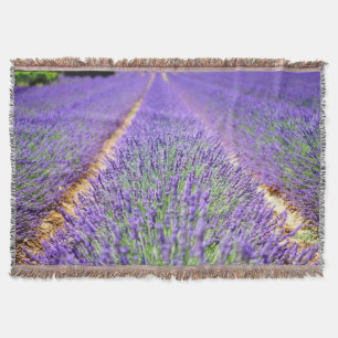 Lavender Field Throw Blanket