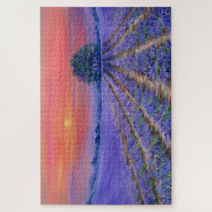 Lavender Fields at Sunset Jigsaw Puzzle