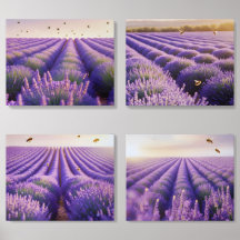 Lavender Fields Forever (4-Piece Set)