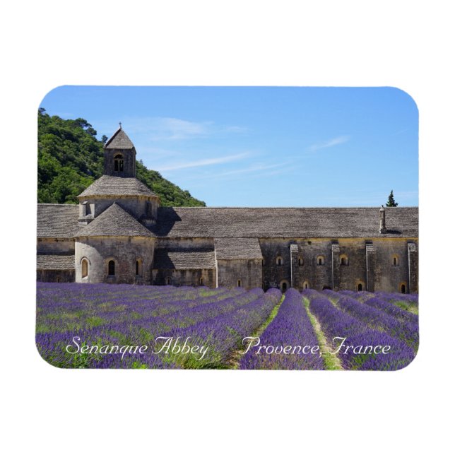 Lavender Fields of Senanque Abbey Magnet (Horizontal)