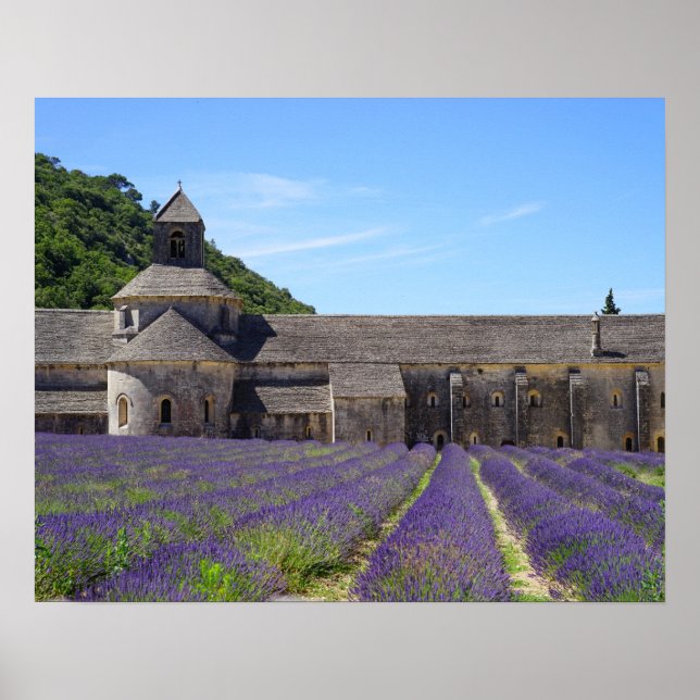 Lavender Fields of Senanque Abbey Poster (Front)