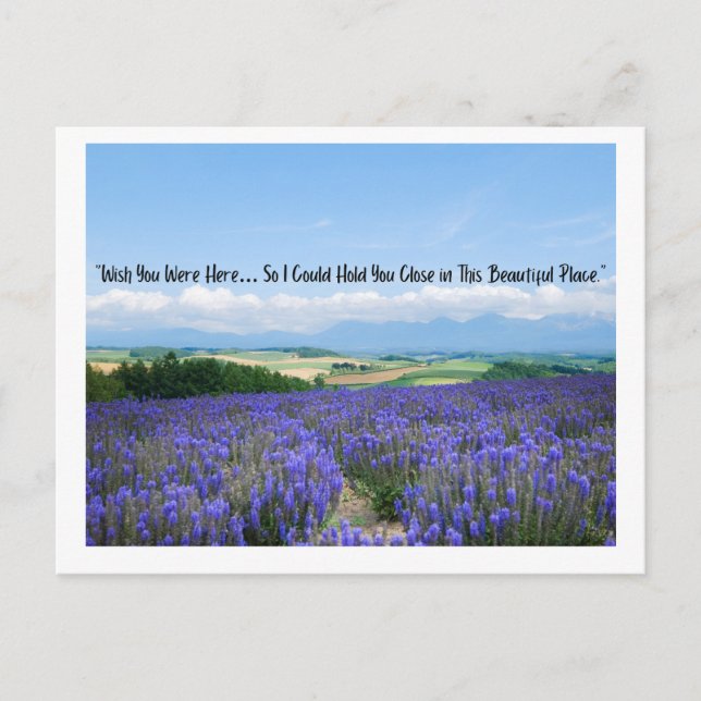 Lavender Fields Postcards (Front)