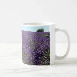 Lavender fields Sequim, WA mug