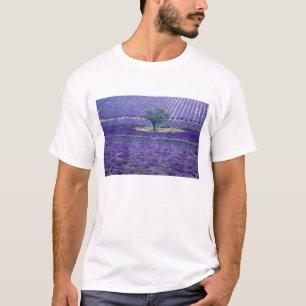 Lavender fields, Vence, Provence, France T-Shirt