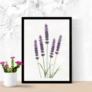 Lavender Fields Watercolor Botanical Wall Art