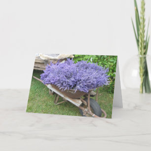 Lavender Filled Wheelbarrow Card