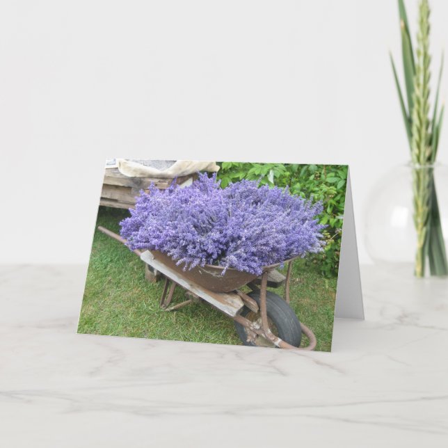 Lavender Filled Wheelbarrow Card (Front)