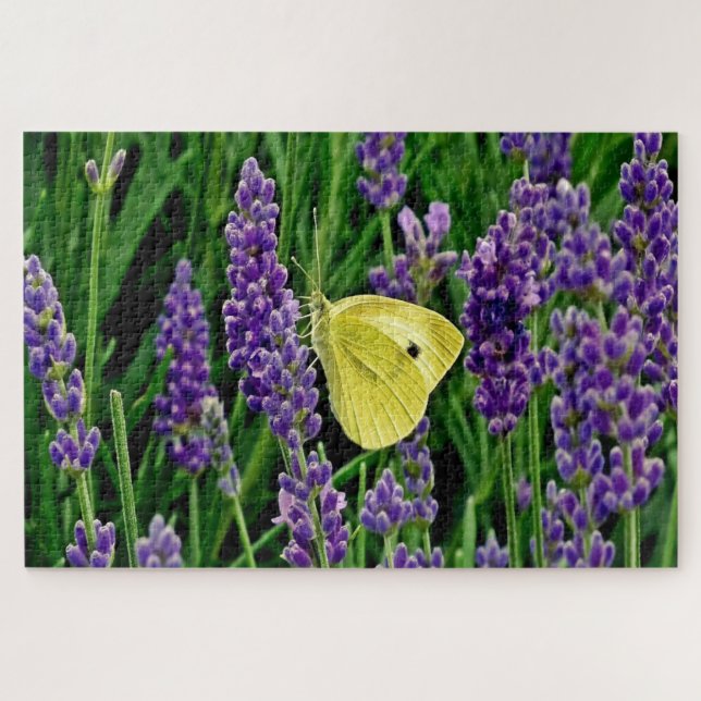 Lavender Floral Garden w/Butterfly 1014 pc Puzzle (Horizontal)