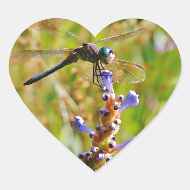Lavender flower dragonfly heart sticker (Front)