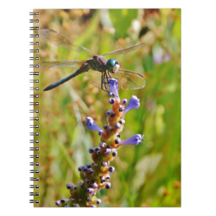 Lavender flower dragonfly notebook