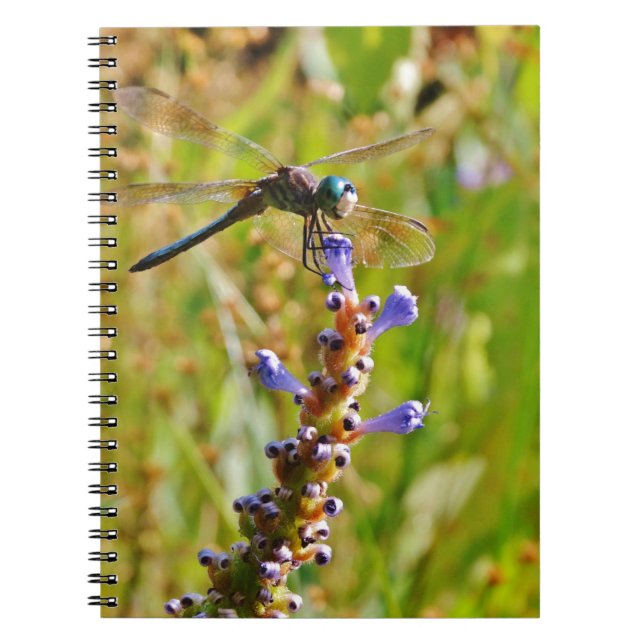 Lavender flower dragonfly notebook (Front)