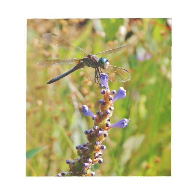Lavender flower dragonfly notepad (Front)