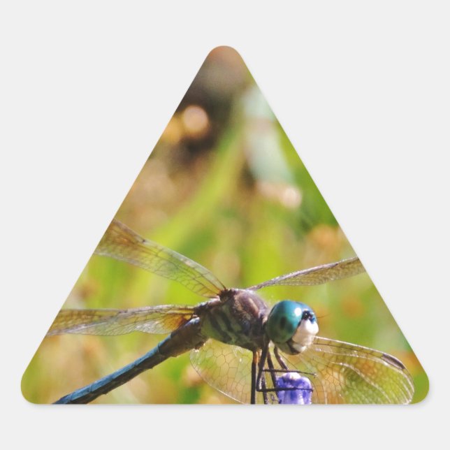 Lavender flower dragonfly triangle sticker (Front)