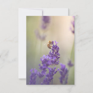 Lavender Flower Honeybee Nature Photo Card