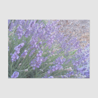 Lavender Flower Tissue Paper | Nature Photography