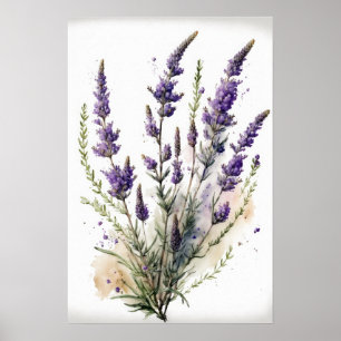 Lavender Flowers Art Print Poster