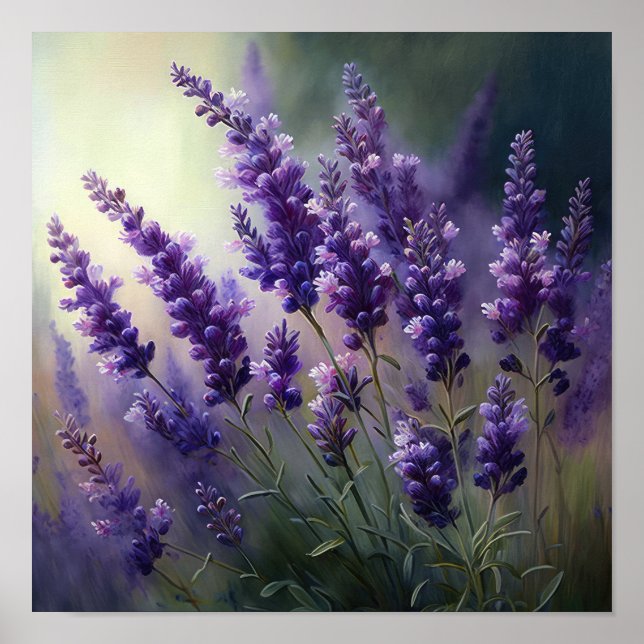 Lavender Flowers Art Print Poster (Front)