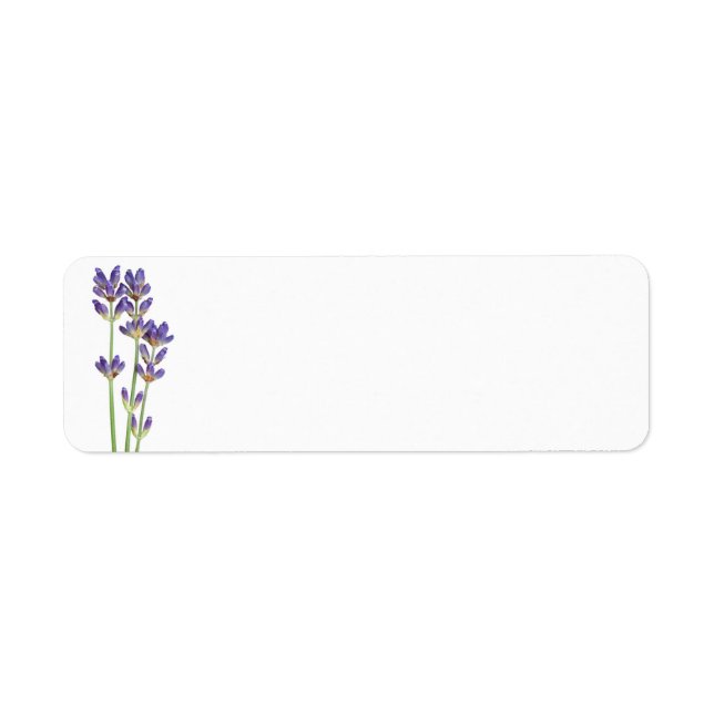 Lavender Flowers Isolated On White Background (Front)