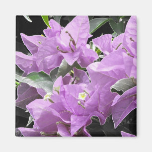 Lavender Flowers Magnet