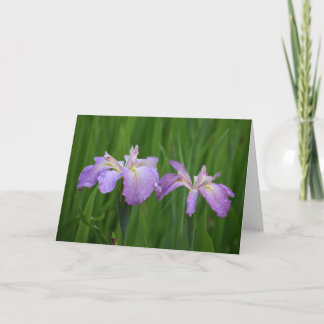 Lavender Flowers Notecards